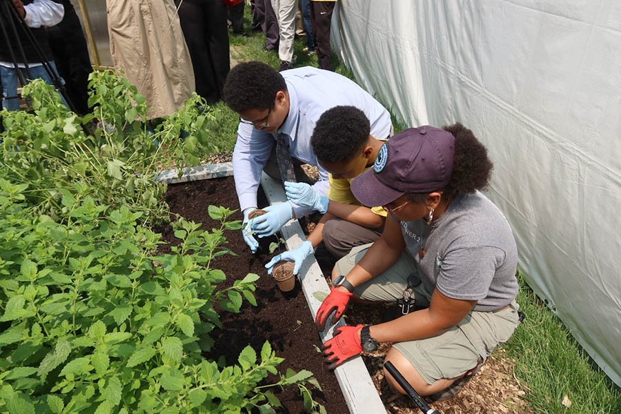 Mayor’s Office of Urban Agriculture Celebrates Another Successful Year of Farm to School Programming for New York City Students