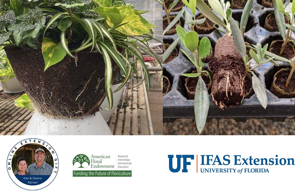 University of Florida Greenhouse Training OnlineSubstrates for Container-Grown Plants starts October 6! NEW COURSE!